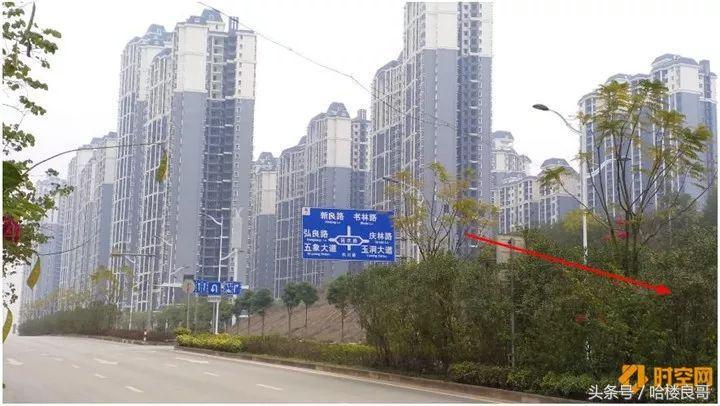 一拍即合！大唐、阳光城、天誉联合16.4亿拍下良庆大道206亩地