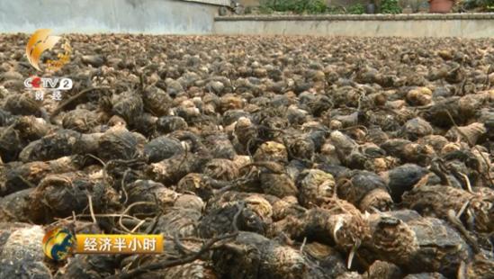 大逆转,大逆转1-5