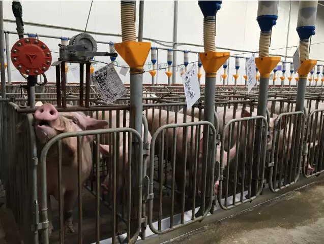 day4-5训练,day4教程全集