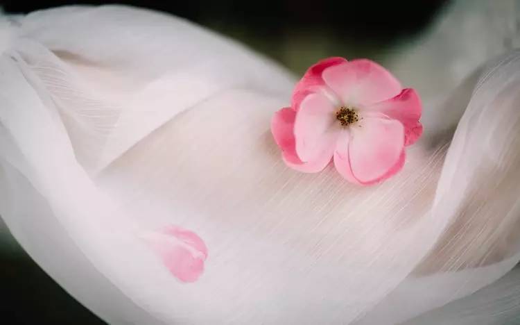 拍摄作品如何投稿人像摄影,摄影作品编辑技巧有哪些