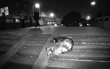 大事件︱你接到过吗？“响一声就挂”的电话，背后居然是这样的阴谋！