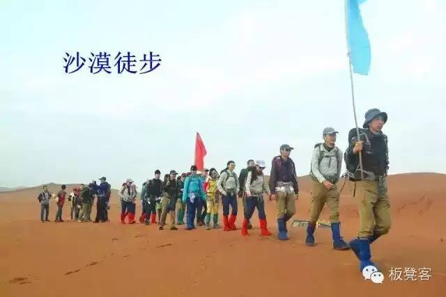 金姐吐槽一针见血,金姐一针见血完整视频