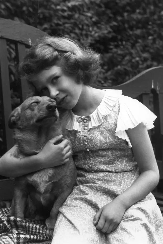 八一八网红的颜值,八一八nba篮球明星