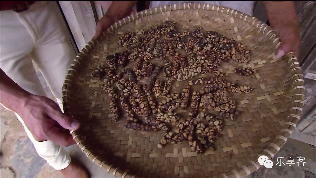 益昌老街猫屎咖啡测评,猫屎咖啡什么牌子最好