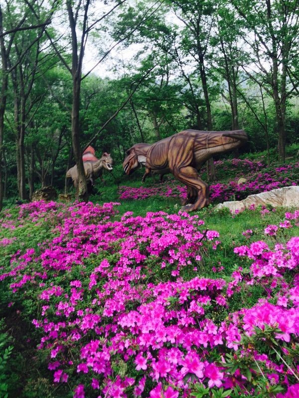 买一送一法国进口波尔多红酒,法国原瓶进口红酒多少钱