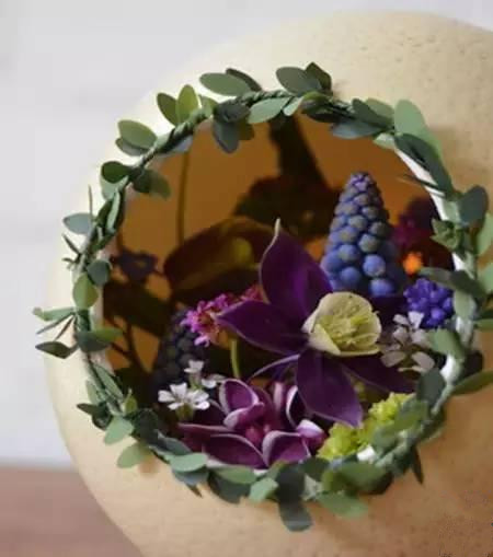 用鸡蛋壳这样养花1年不用施肥,鸡蛋壳别再扔了这样做比肉还好吃