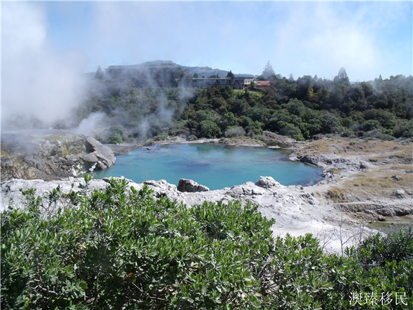 移民新西兰跟哪个机构联系,移民新西兰