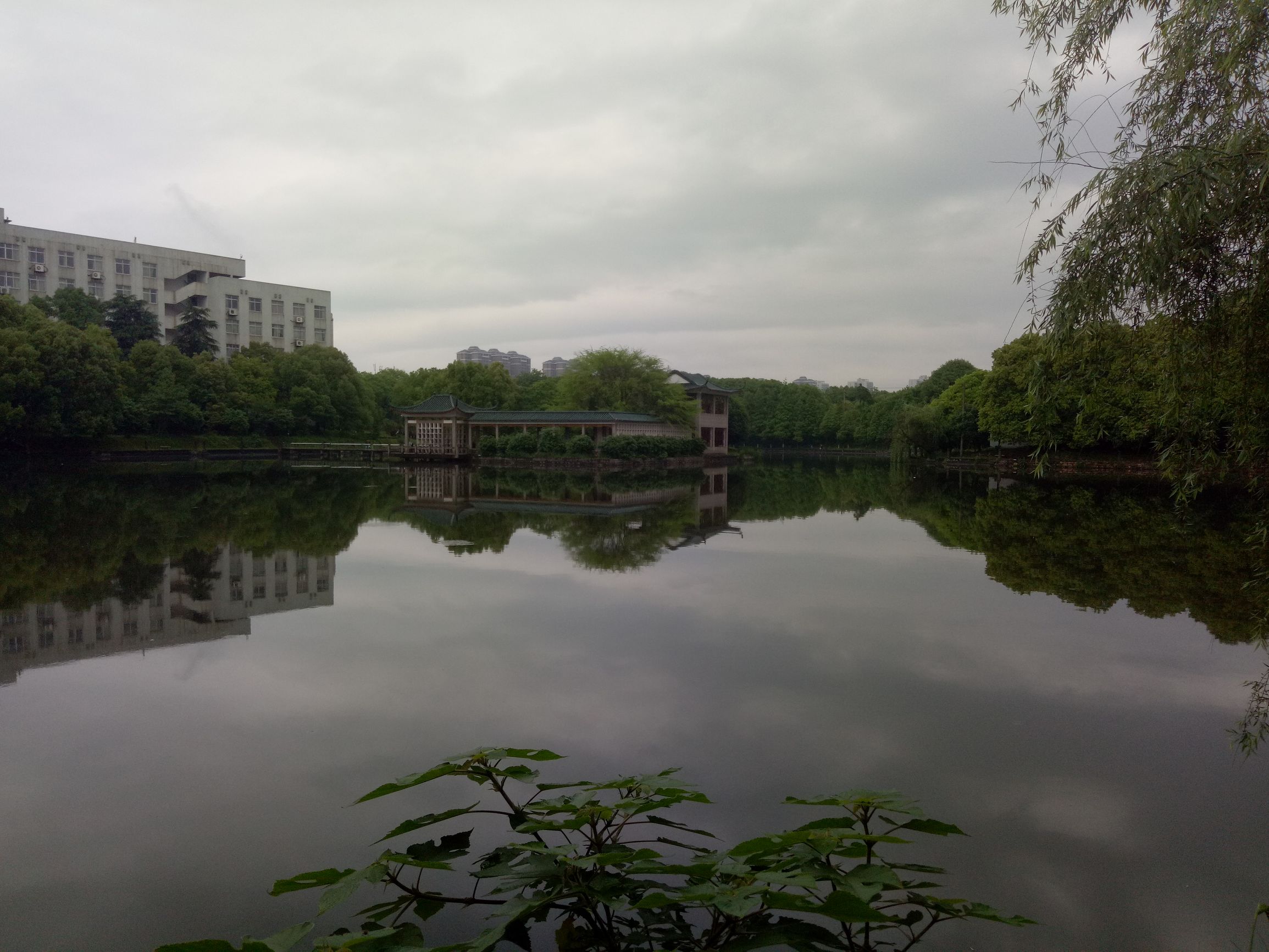 oppor9s李易峰大礼包,李易峰代言的手机oppo最新款