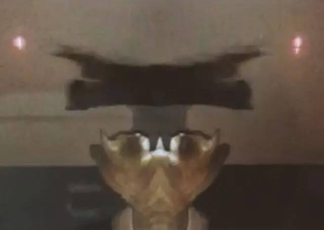 双环是怎么扭亏的,双环告本田