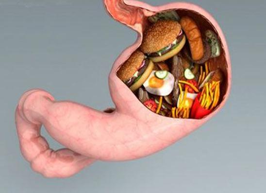 养胃促进胃动力的食物,胃动力差吃什么食物比较养胃