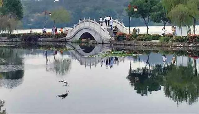 最美西湖观光,最美西湖