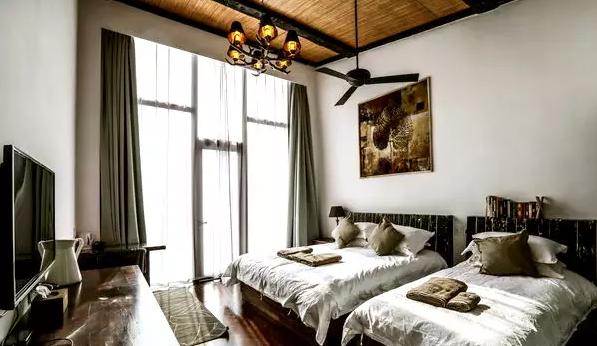 安吉山顶老树林,浙江安吉老树林