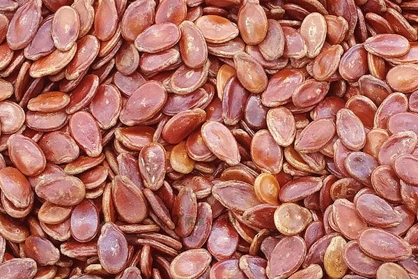 龙州旅游特产,龙州金龙有什么特产