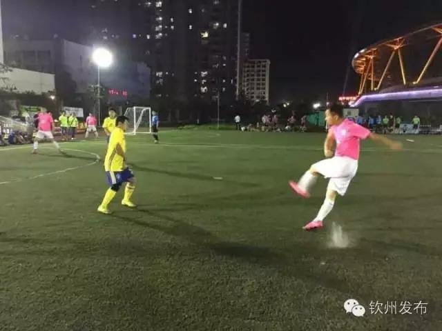 北部湾气排球钦州赛区,钦州灵山气排球比赛图片