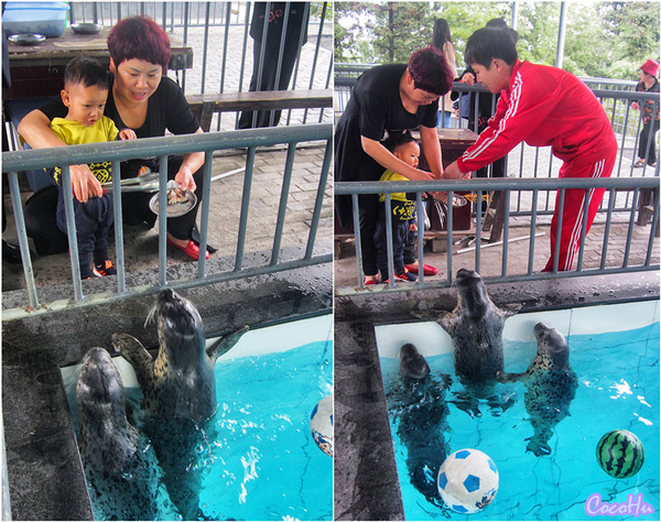 中南百草原景区动物园,中南百草原景区动物
