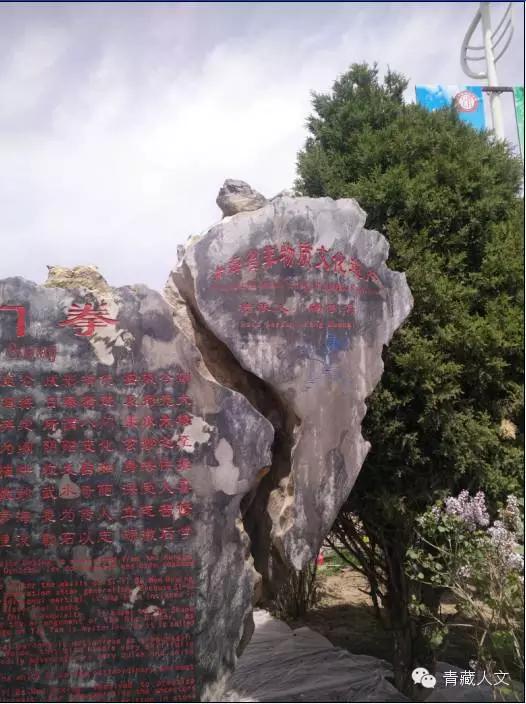 西宁景熙丰生态园,西宁景熙丰湿地公园