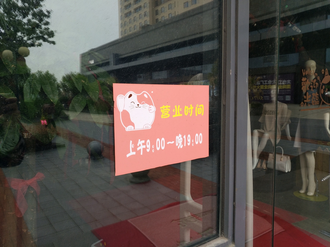 vivoxplay5深度评价,vivoxplay5的性能与其他手机相比