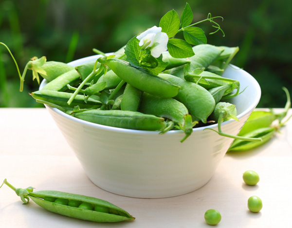 黄豌豆功效作用及禁忌,豌豆的营养价值与禁忌