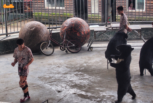 中南百草原景区动物园,中南百草原景区动物