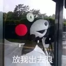 焦作今天的天气情况怎么样,焦作7月1日天气情况表