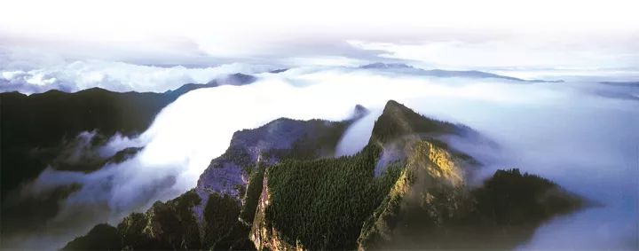 瀹佸绗竴缇庡コ鐓х墖,涓浗瀹佸绗竴缇庝汉