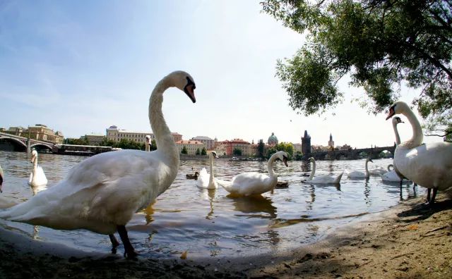 捷克超强旅游攻略,捷克游玩的攻略