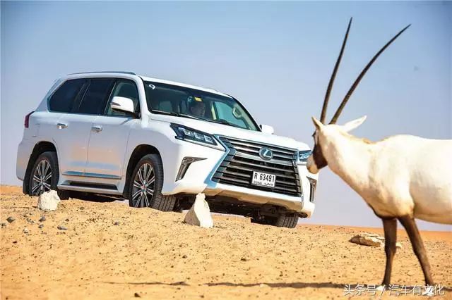 土豪的劳斯莱斯的车,有哪些土豪开豪车