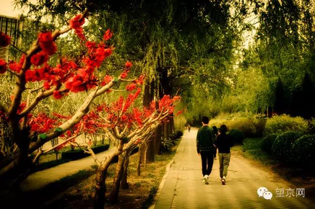 如果有人说“望京什么破地儿?”就把这条微信甩给他