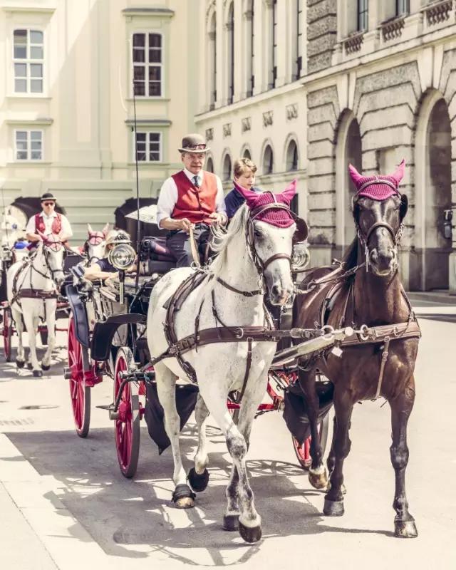 历史上真实茜茜公主和奥地利国王,奥地利的历史茜茜公主