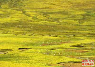 中国最著名100个旅游景点,中国100名旅游景点