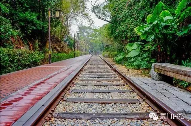 春节厦门旅游拍照适合怎样穿搭,去厦门怎么穿搭拍照好看