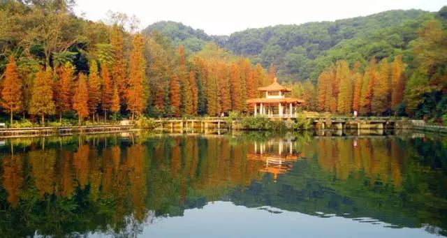 深圳看海公园推荐,深圳哪个湖最好玩又漂亮