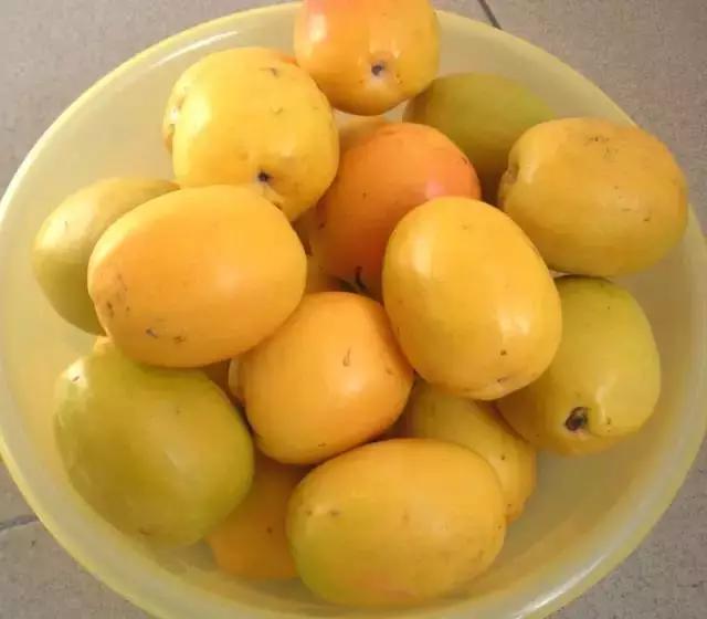 水果蘸着盐巴、辣椒吃，泡酒喝，云南人吃水果的姿势太丰富多彩了