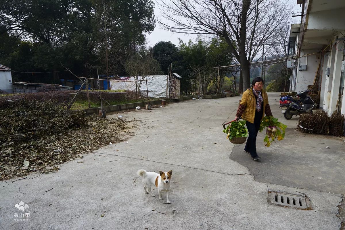 无锡千年古村尧歌里火了,无锡古村尧歌里在哪里
