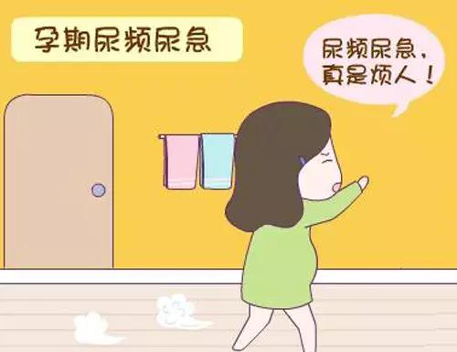 孕期尿频是怎么回事儿,孕期羊水少喝水尿频