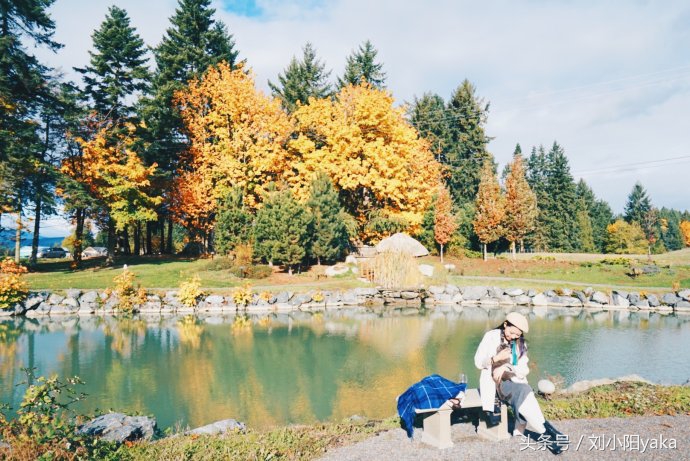维多利亚水廊旅游,加拿大旅行景点