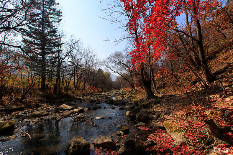 家乡之美美篇,家乡之美原唱完整版
