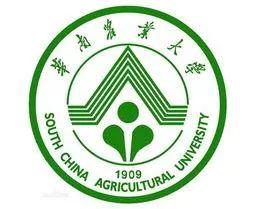 英德市特色,英德有几个特产