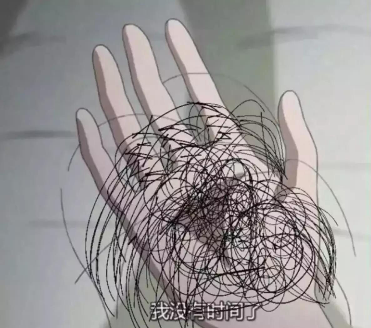 你的2017是什么样子,你的2017这一年总结