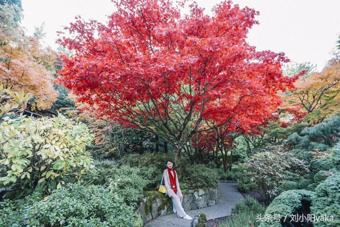 维多利亚水廊旅游,加拿大旅行景点
