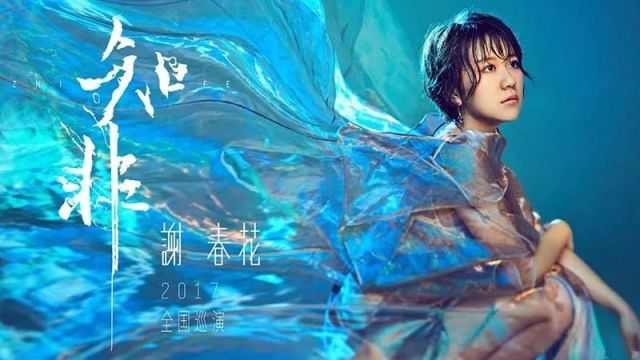 谢春花小吉他,谢春花节目里用的什么吉他