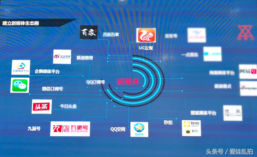 又见鸟叔广场舞完整版,鸟叔杨峰最新视频
