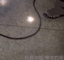 诡异球形闪电,球状闪电特点有哪些