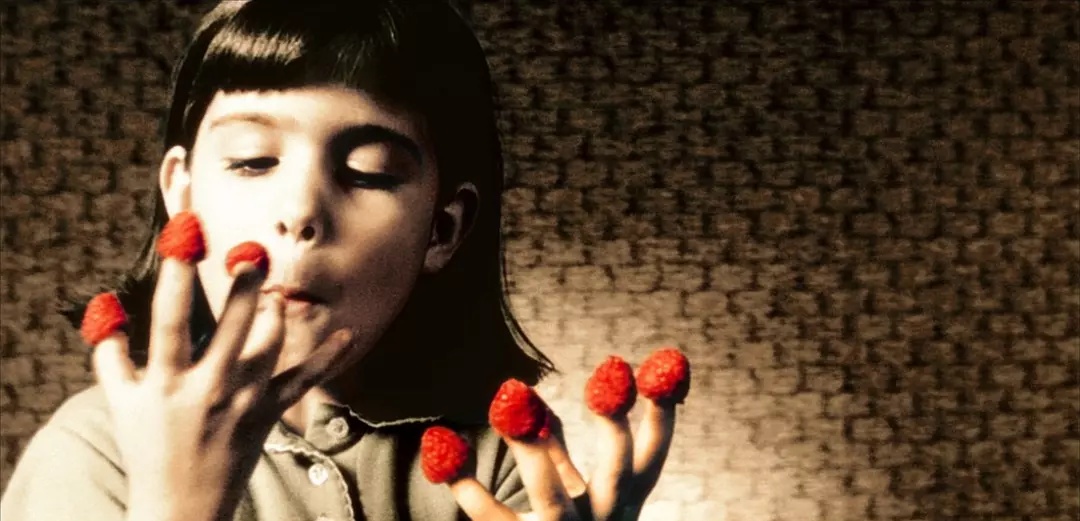 法国这个杀手不太冷,十部经典法国电影