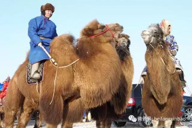 经济涮锅丨一起玩儿冰雪，裹好你的小棉袄出发吧！