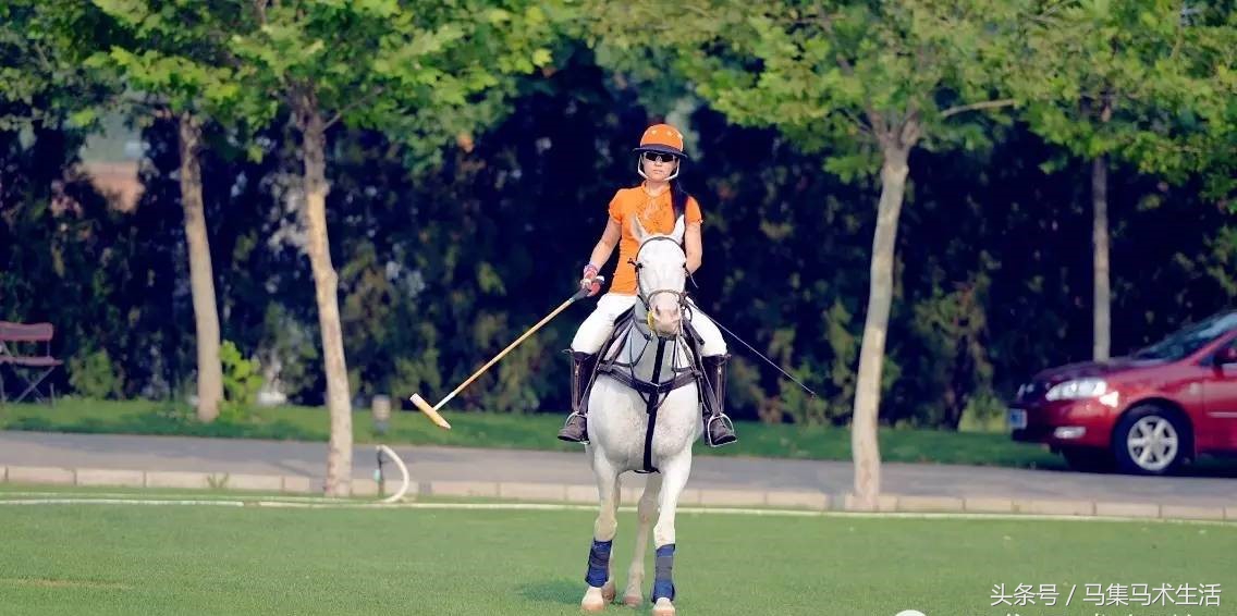 会打羽毛球是什么体验,打马球训练哪些