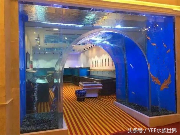 水族箱种类及优缺点,水族箱有几种品牌