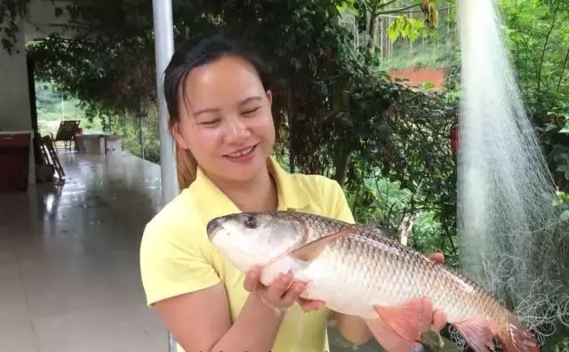 巧妇9妹今日头条视频收入多少,巧妇9妹福袋