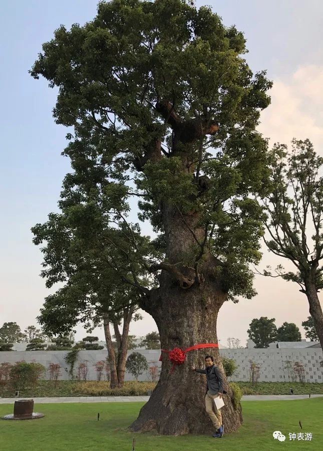 朗格表是什么牌子,顶级朗格表