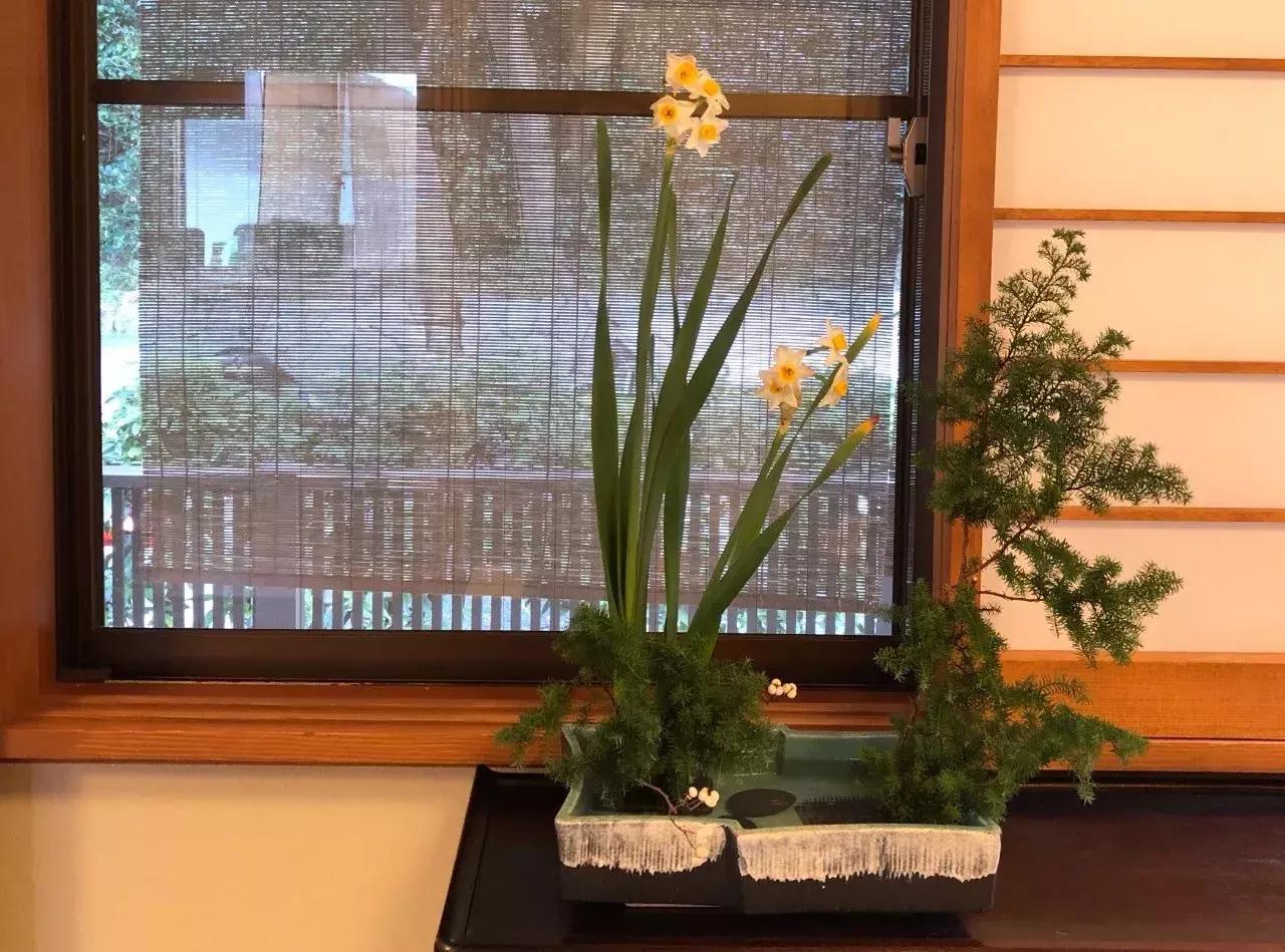 去日本开民宿靠谱吗,在日本开民宿需要多少钱